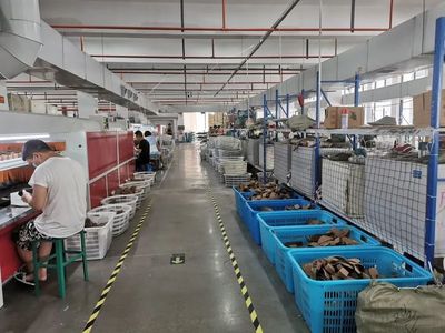 走出&ldquo;足下經濟&rdquo;新道路 探秘橫峰鞋業涅盤重生